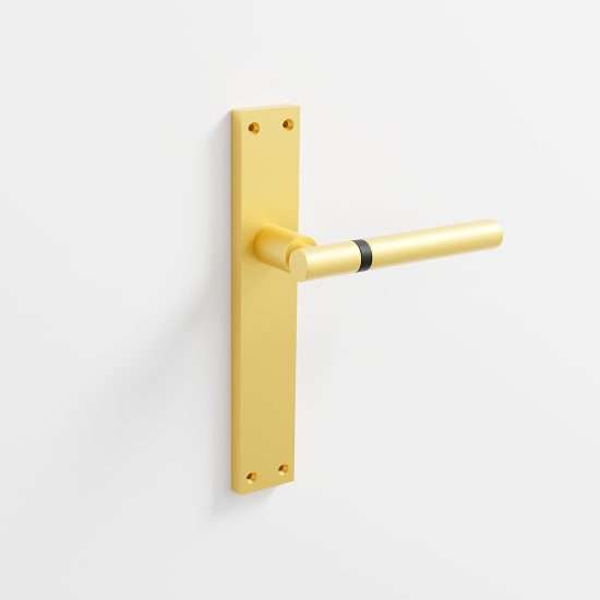 201 - Manillas para puerta con placa acabado dorado mate · negro